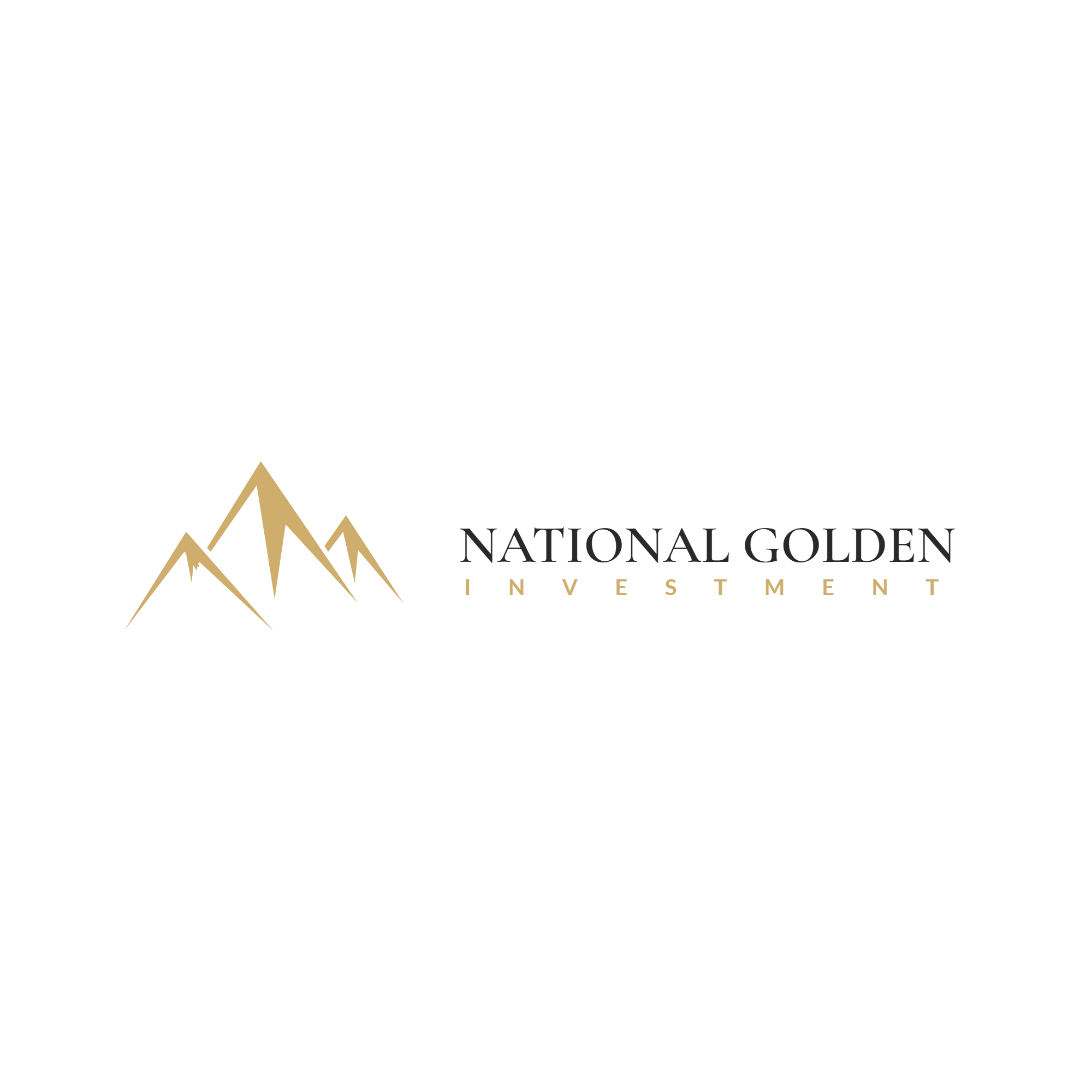 NGI — National Golden Investment