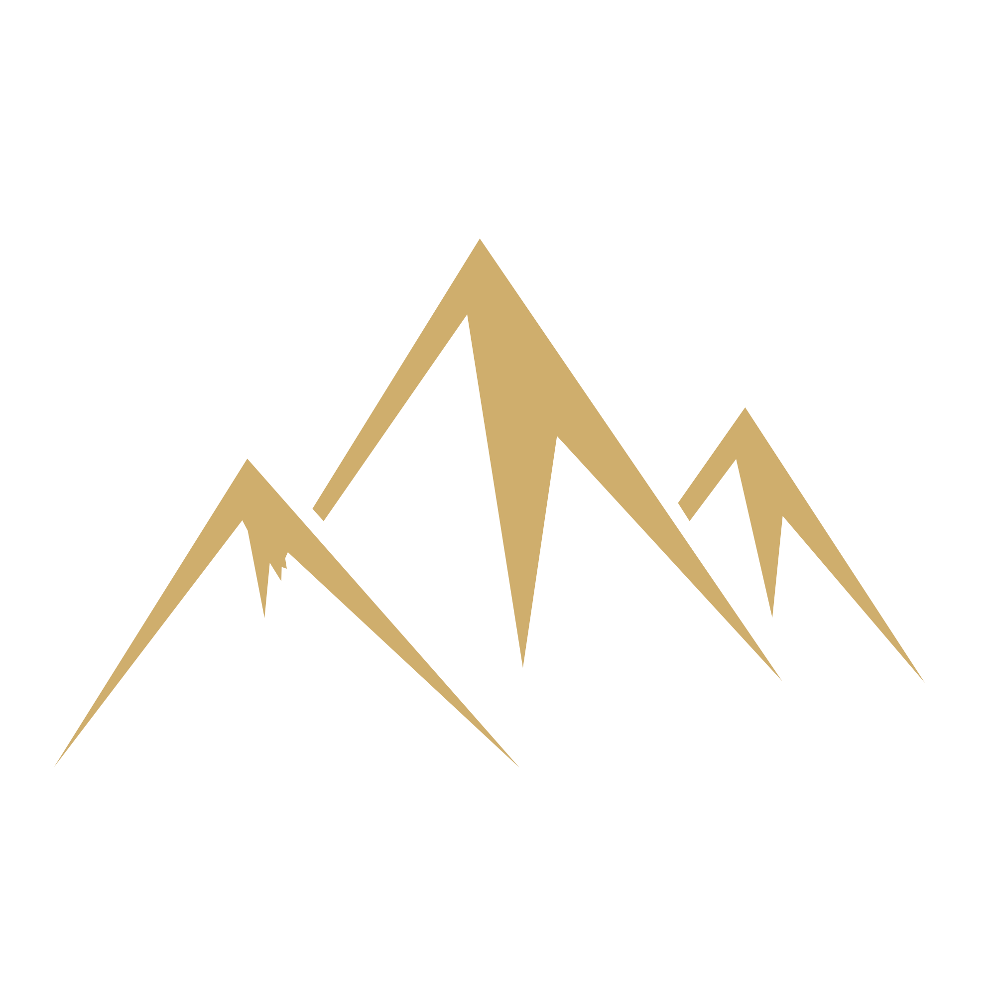 NGI — National Golden Investment