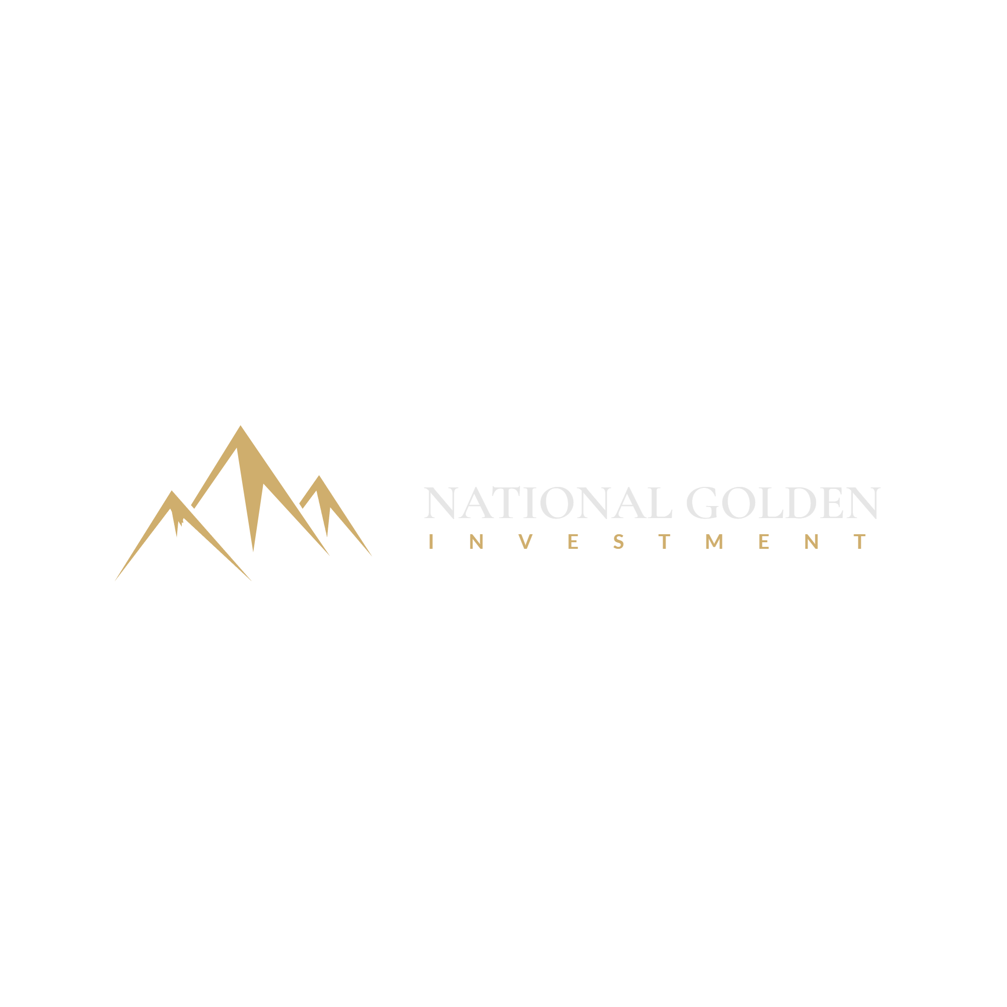 NGI — National Golden Investment